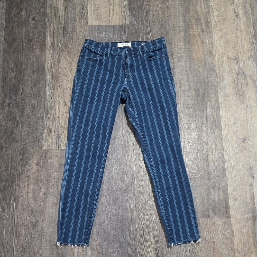 Pacsun Women's Size 25 Ankle Jeggings Frayed Ankle Pin Striped